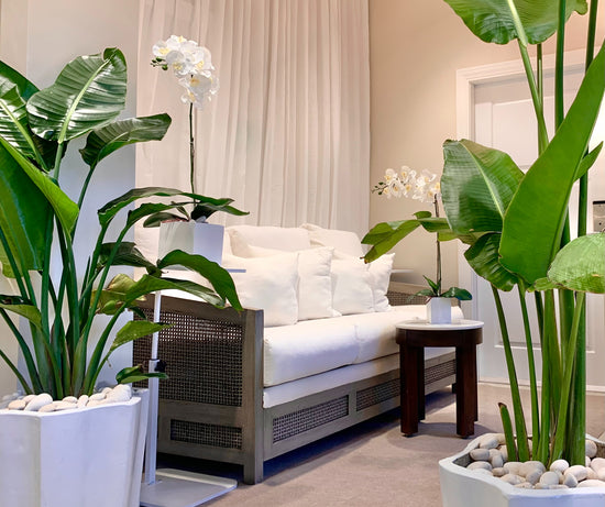 La Plage Spa luxury spa environment with complimentary teas and refreshments.